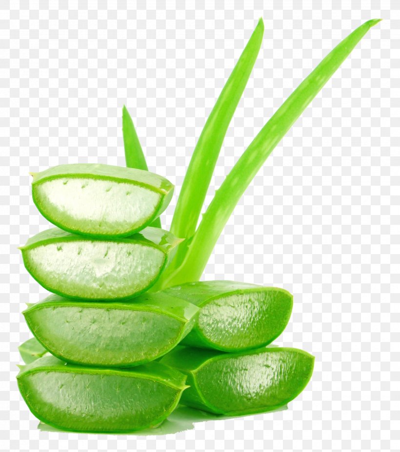 Aloe Vera Juice Lotion Gel Cream, PNG, 2471x2790px, Aloe Vera, Aloe, Alternative Medicine, Chemical Substance, Cream Download Free