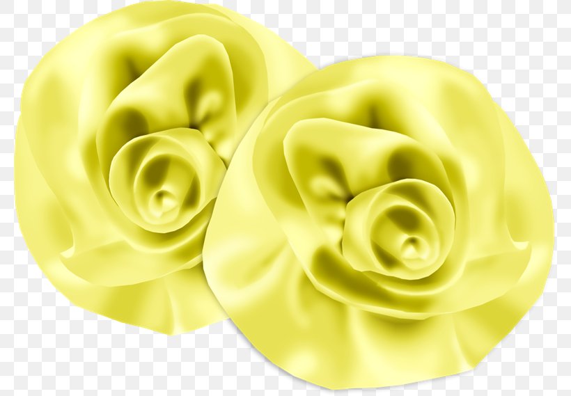 Rose Family, PNG, 780x569px, Rose Family, Rose, Yellow Download Free