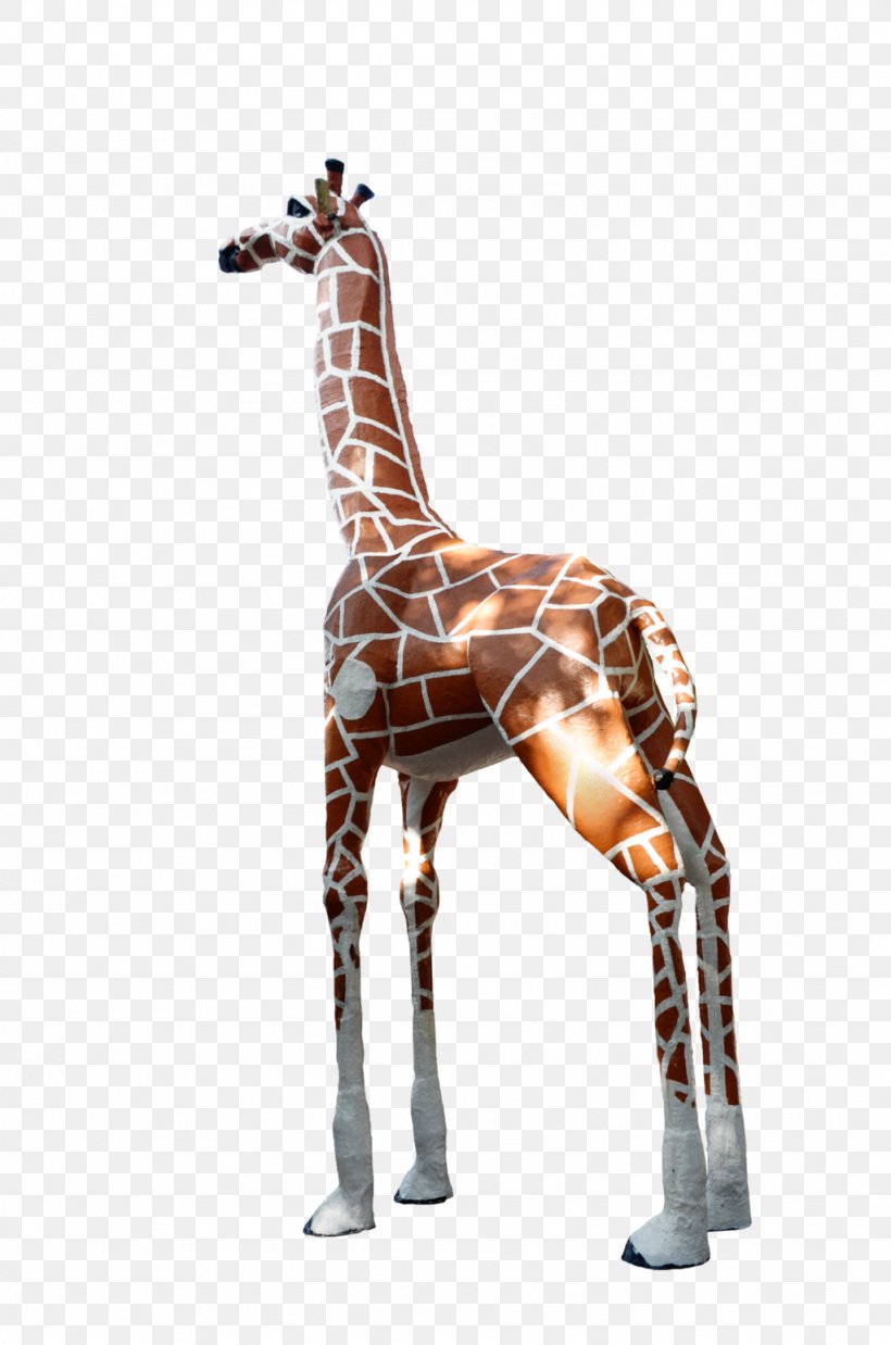 Giraffe Animal Mammal Neck Wildlife, PNG, 1024x1546px, Giraffe, Animal, Animal Figure, Giraffidae, Mammal Download Free