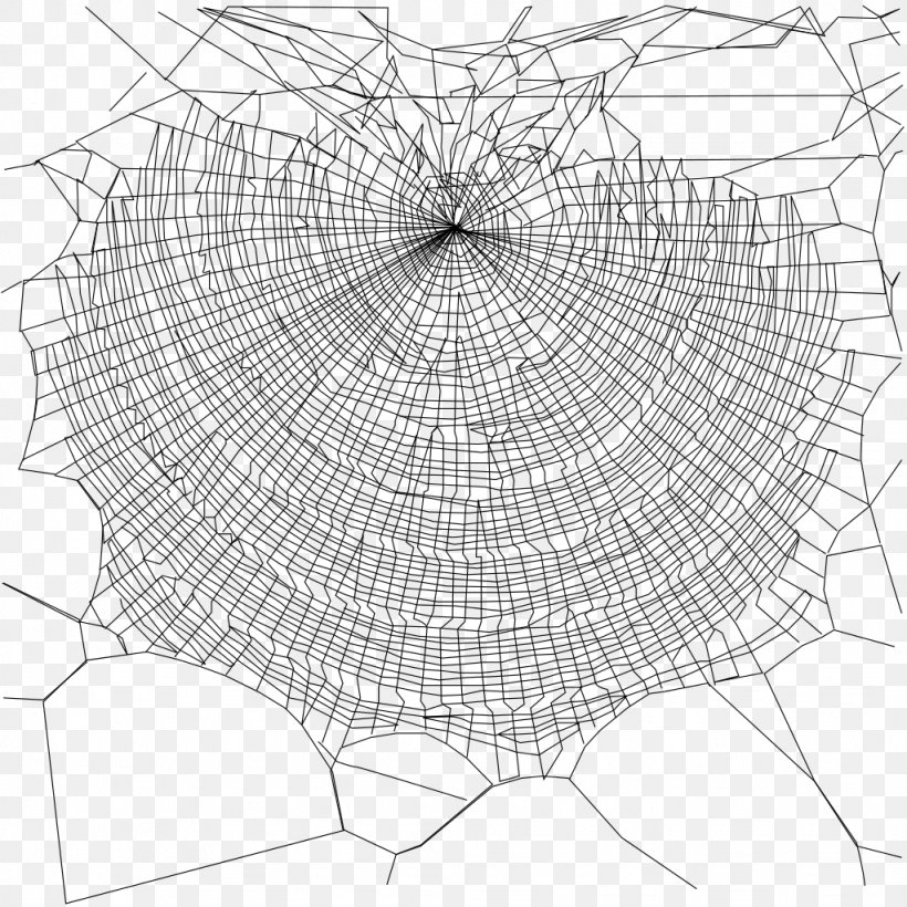 Spider Web Nephila Clavipes Spider Silk, PNG, 1024x1024px, Spider, Area, Artwork, Black And White, Drawing Download Free