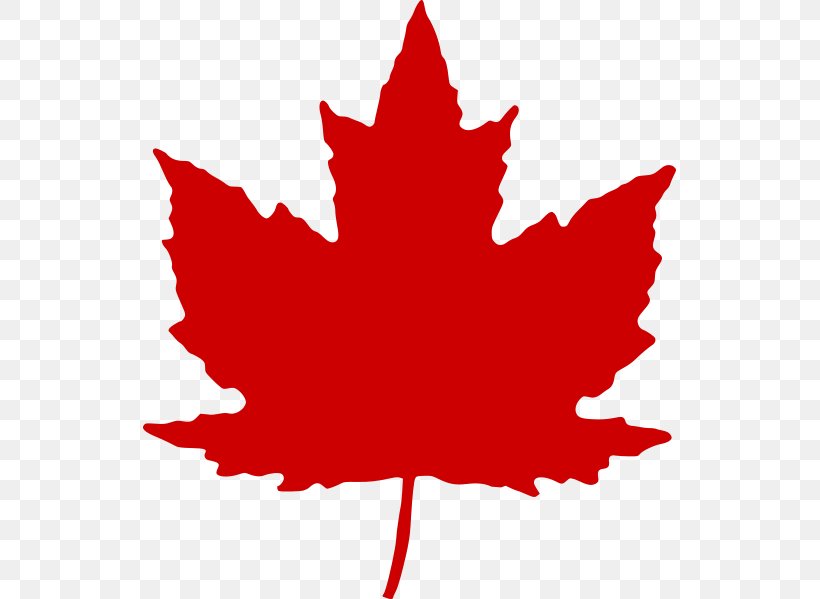 Maple Leaf Canada Clip Art, PNG, 533x599px, Maple Leaf, Autumn Leaf Color, Canada, Canadian Silver Maple Leaf, Clip Art Download Free