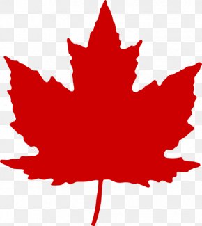 Maple Leaf Canada Clip Art, PNG, 512x512px, Maple Leaf, Autumn Leaf ...