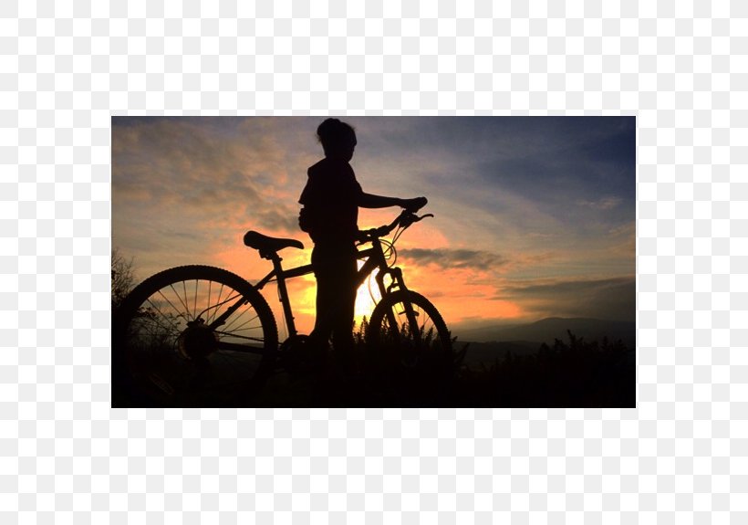 Road Bicycle Graphic Design Cropping Cycling, PNG, 575x575px, Road Bicycle, Bicycle, Cropping, Cycling, Hybrid Bicycle Download Free