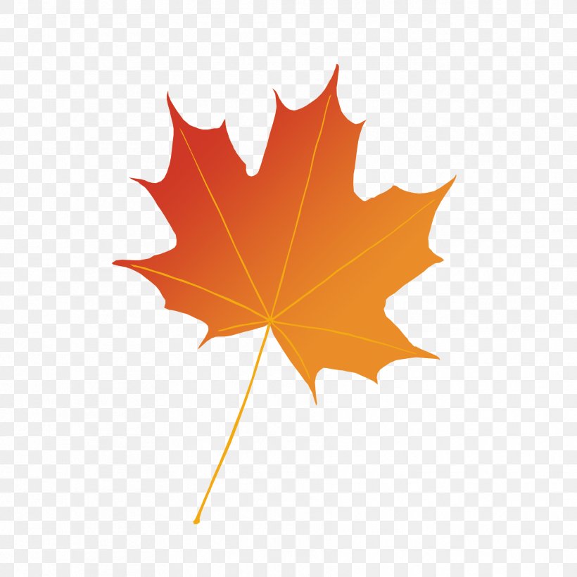 Maple Leaf Photography Illustration Autumn, PNG, 1772x1772px, Maple Leaf, Autumn, Depositphotos, Flowering Plant, Leaf Download Free