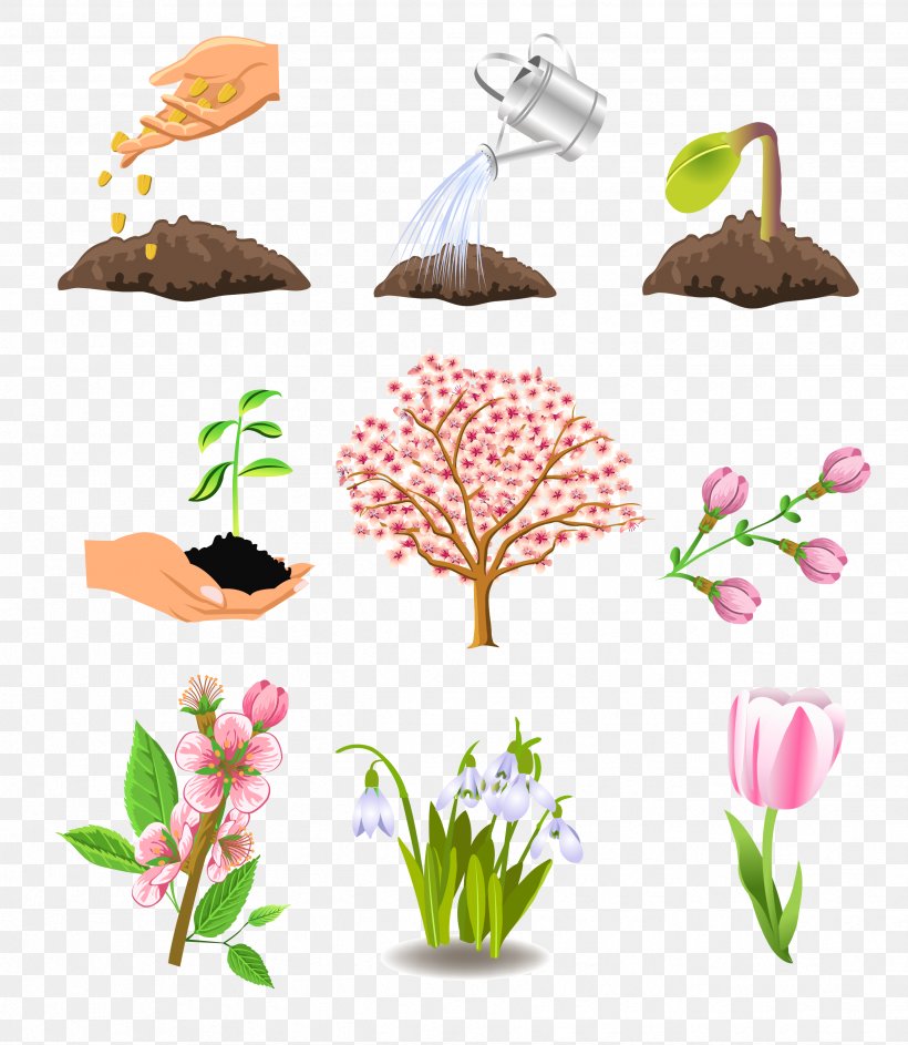 Plant Tree Season Autumn, PNG, 2483x2858px, Plant, Autumn, Cloud, Cut Flowers, Flora Download Free