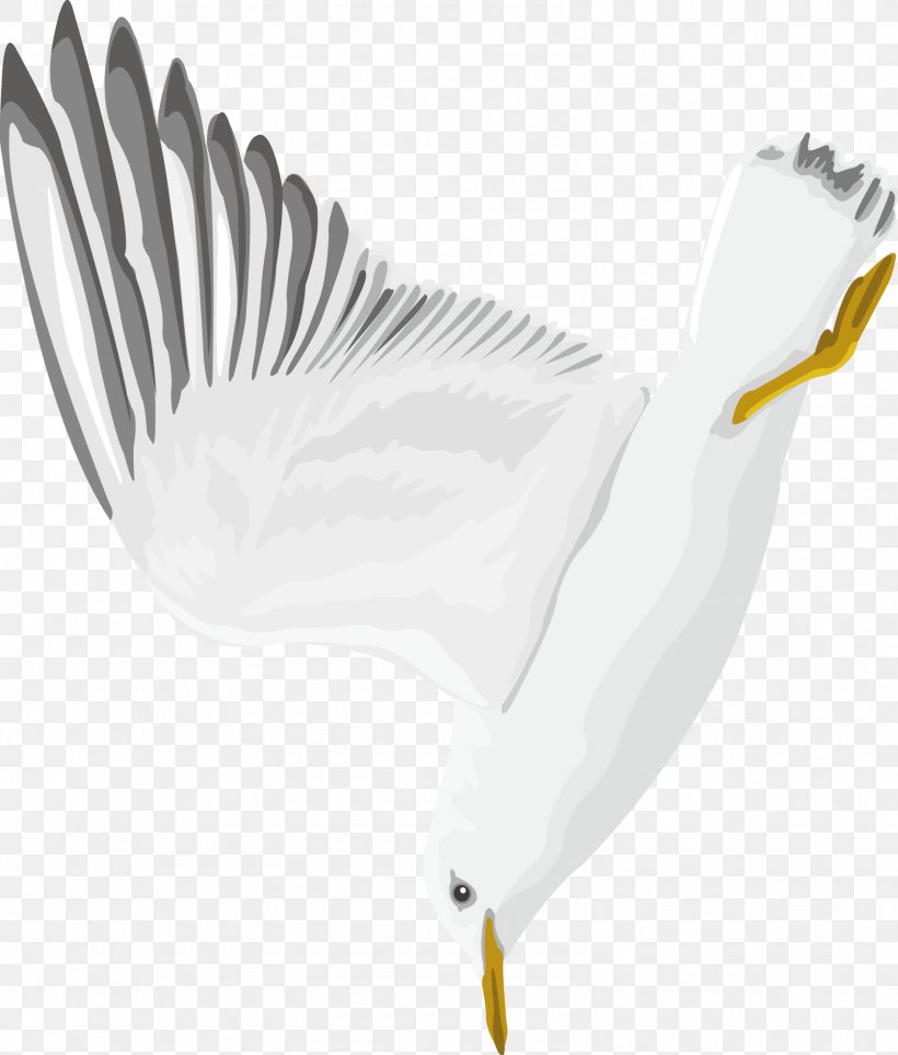 Swan Goose, PNG, 1579x1856px, Goose, Beak, Bird, Decorative Arts, Designer Download Free
