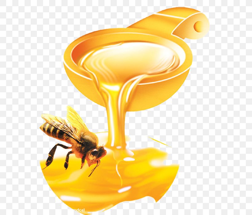 Western Honey Bee Royal Jelly Monofloral Honey, PNG, 676x699px, Bee, Aganetha Dyck, Bee Pollen, Beehive, Beeswax Download Free