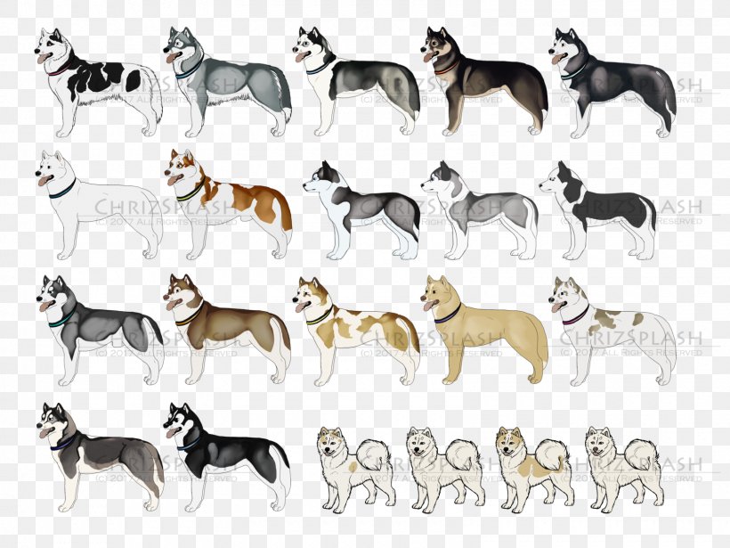 Dog Breed Non-sporting Group Snout, PNG, 1600x1200px, Dog Breed, Animal, Animal Figure, Breed, Carnivoran Download Free