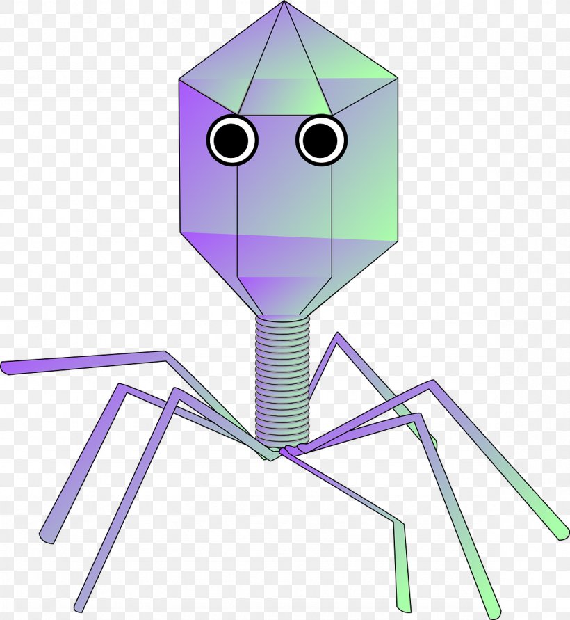Virus Bacteriophage Viral Vector Clip Art, PNG, 1178x1280px, Virus, Art, Bacteria, Bacteriophage, Cell Download Free