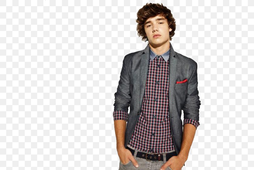 Liam Payne One Direction Up All Night Taken Song, PNG, 619x550px, Watercolor, Cartoon, Flower, Frame, Heart Download Free