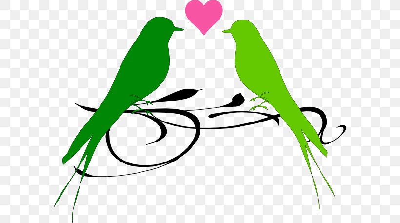 Lovebird Clip Art, PNG, 600x457px, Lovebird, Beak, Bird, Blue, Bluegreen Download Free