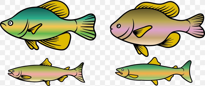 Rainbow Trout Fish Clip Art, PNG, 2388x1001px, Rainbow Trout, Animal Figure, Fauna, Fish, Marine Biology Download Free