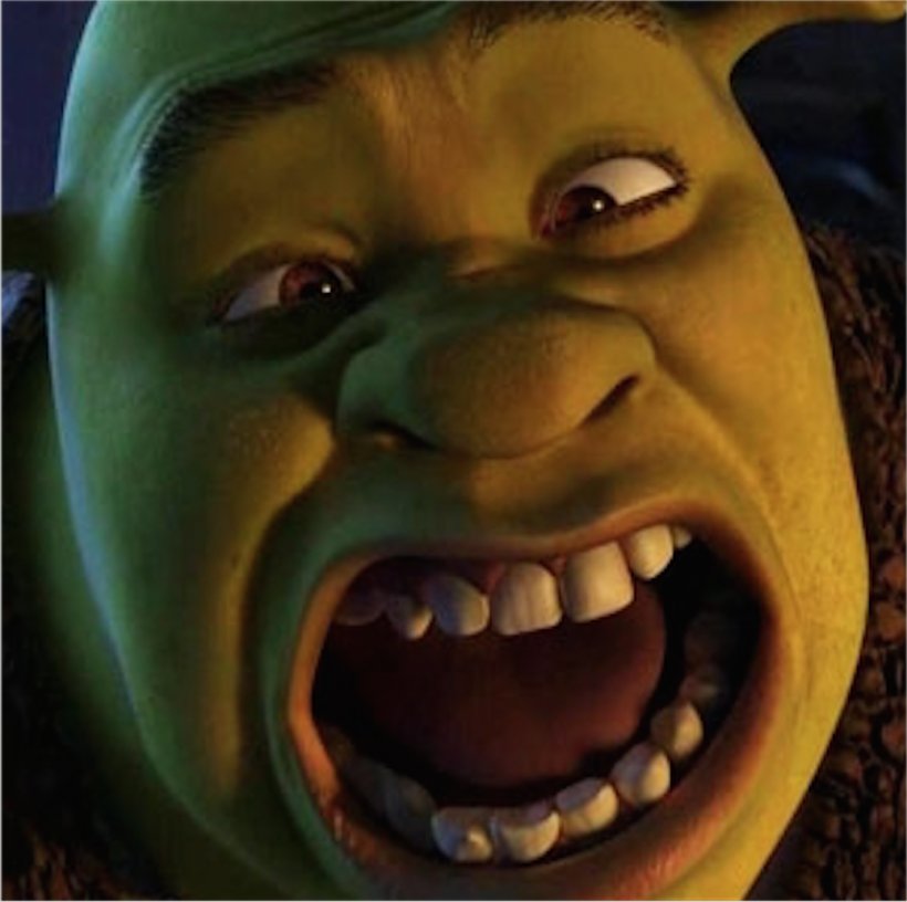 Shrek Film Series Donkey Puss In Boots Princess Fiona, PNG, 1036x1032px, Shrek, Donkey, Face, Fictional Character, Halloween Download Free