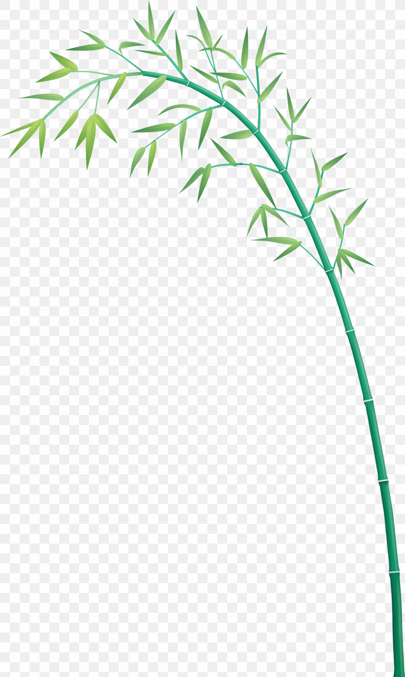 Bamboo Leaf, PNG, 1795x2999px, Bamboo, Branch, Flower, Grass, Grass Family Download Free