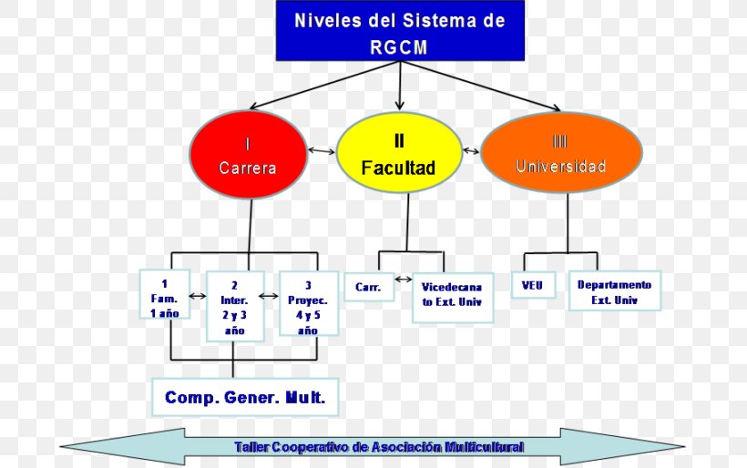 Competencia Organization Multiculturalism Gestión Chart, PNG, 696x514px, Competencia, Area, Business Process Management, Chart, Classroom Download Free