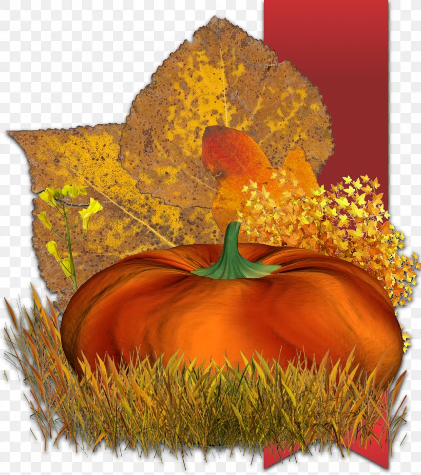Cucurbita Pumpkin Gourd Winter Squash Clip Art, PNG, 1594x1800px, Cucurbita, Calabaza, Email, Flower, Gourd Download Free