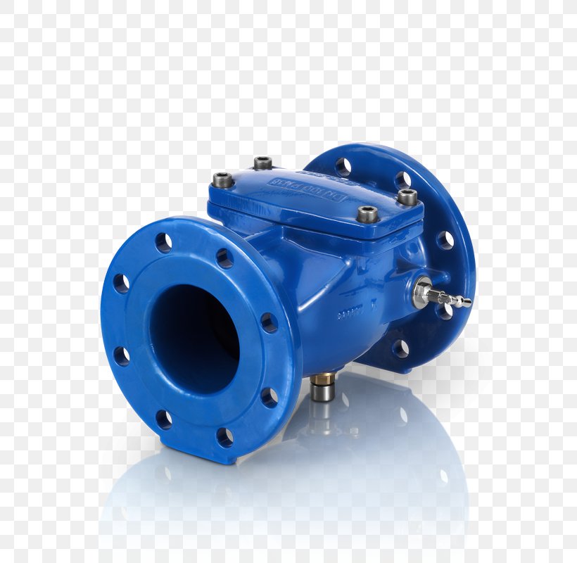 Drinking Water Check Valve Clapet Von Roll, PNG, 800x800px, Drinking Water, Check Valve, Clapet, Drinking, Flange Download Free