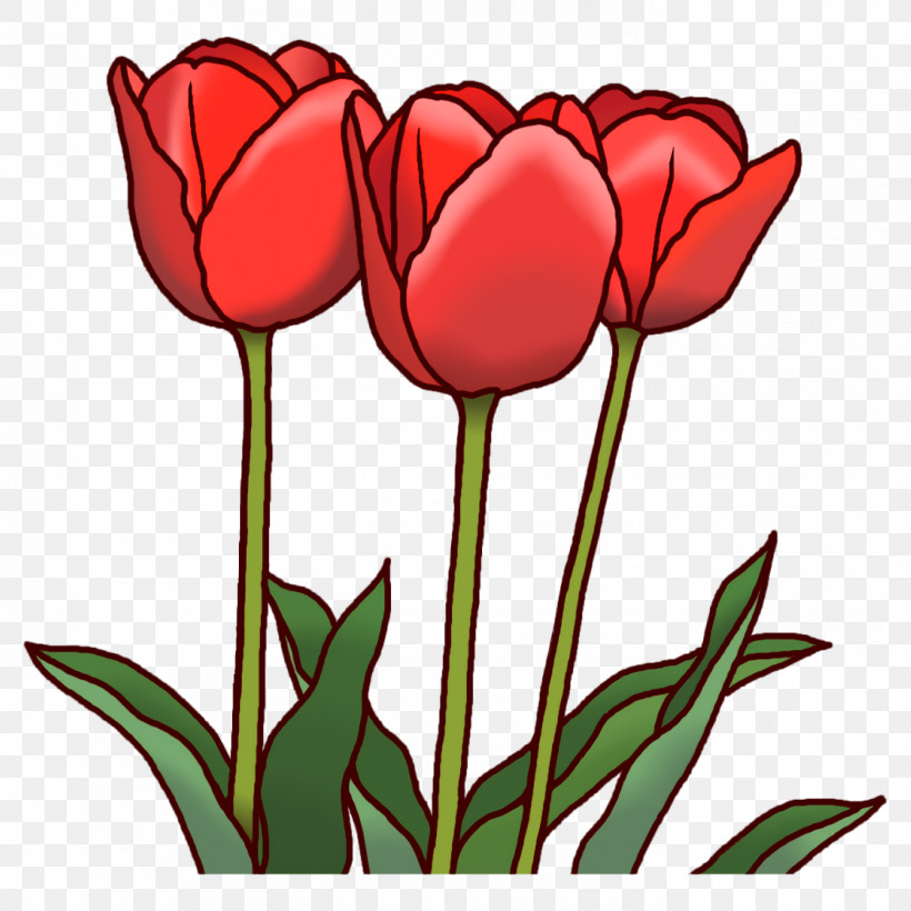 Floral Design, PNG, 1400x1400px, Tulip, Biology, Cut Flowers, Floral Design, Flower Download Free