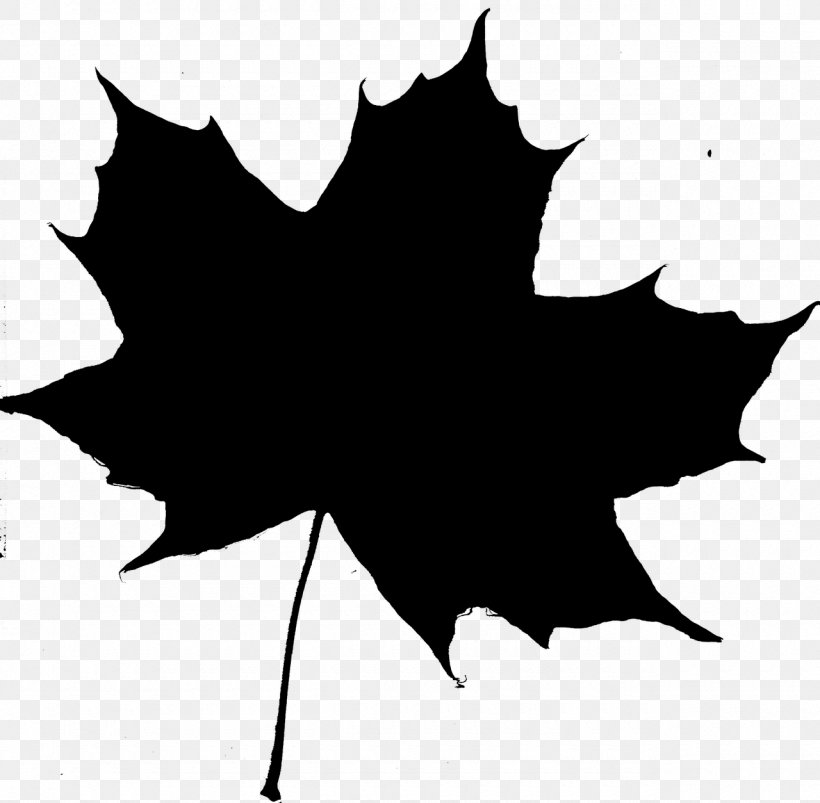 Maple Leaf Felt Coasters Plant Stem, PNG, 1280x1254px, Maple Leaf, Applied Arts, Black, Black Maple, Blackandwhite Download Free