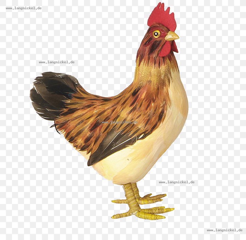 Rooster Chicken Hare Ornament Egg, PNG, 800x800px, Rooster, Beak, Bird, Chicken, Egg Download Free