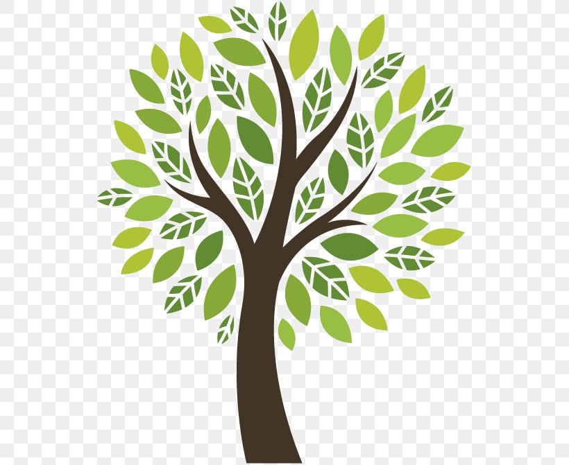 Tree Of Life, PNG, 671x671px, Life, Branch, Exercise, Flower, Green Download Free