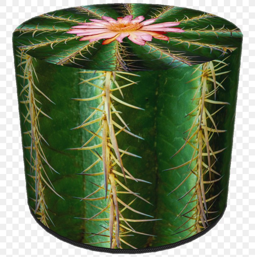 Tuffet Stool Foot Rests Wing Chair, PNG, 768x827px, Tuffet, Acanthocereus Tetragonus, Cactaceae, Cactus, Caryophyllales Download Free