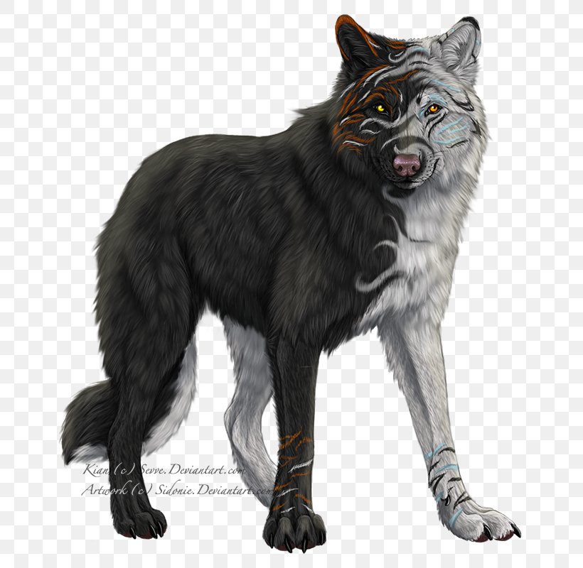 black arctic wolves