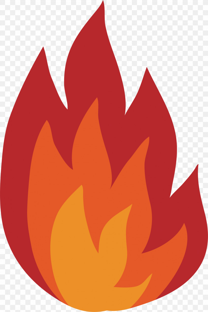 Fire Flame, PNG, 2003x3000px, Fire, Biology, Flame, Leaf, Petal Download Free