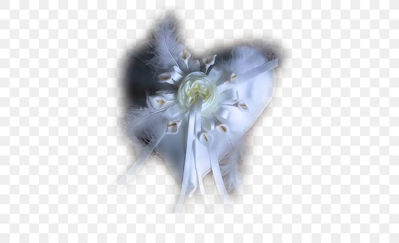 Love Flower ImageShack, PNG, 500x500px, Love, Blog, Blue, Blume, Cut Flowers Download Free