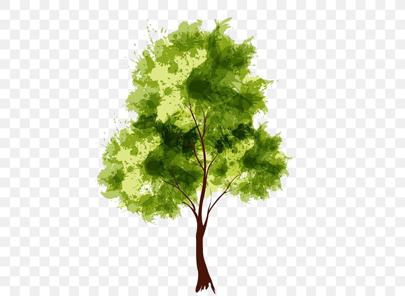 Watercolor Painting Drawing Tree, PNG, 600x600px, Watercolor Painting, Branch, Drawing, Leaf, Painting Download Free
