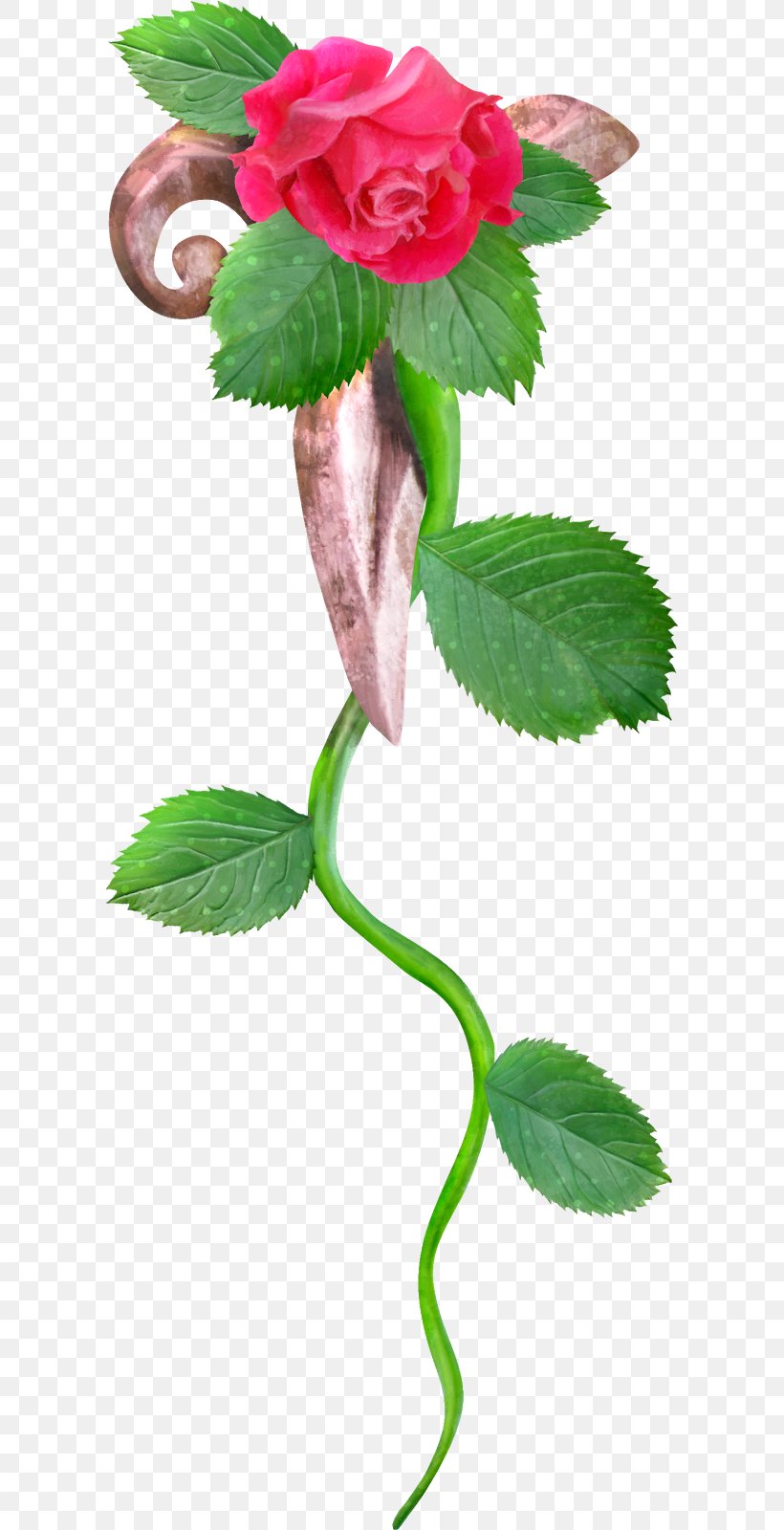 Garden Roses Still Life: Pink Roses Clip Art Image Flower, PNG, 600x1600px, Garden Roses, Blog, Cabbage Rose, Flower, Flowering Plant Download Free