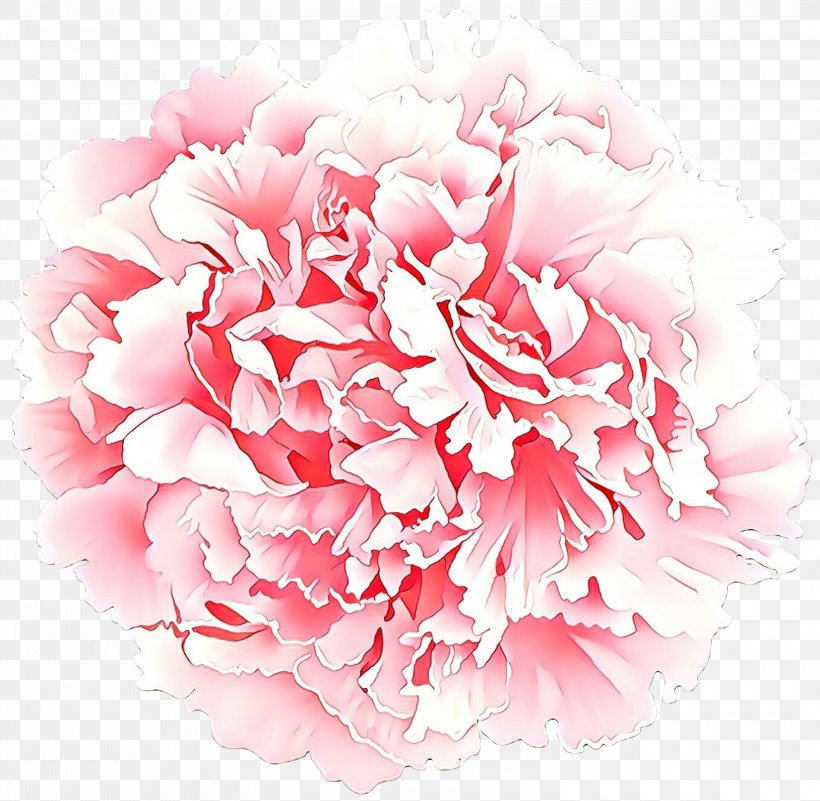 Pink Flower Cartoon, PNG, 3000x2931px, Carnation, Chinese Peony, Common Peony, Cut Flowers, Dianthus Download Free