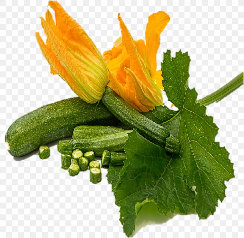 Plant Vegetable Flower Zucchini Food, PNG, 1046x1020px, Plant, Flower, Food, Ingredient, Summer Squash Download Free