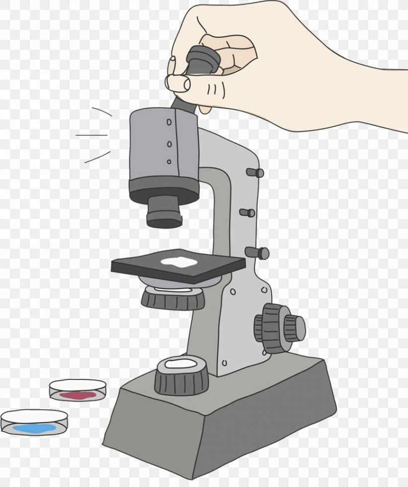 Microscope, PNG, 865x1033px, Microscope, Cell, Computer, Electron Microscope, Observation Download Free