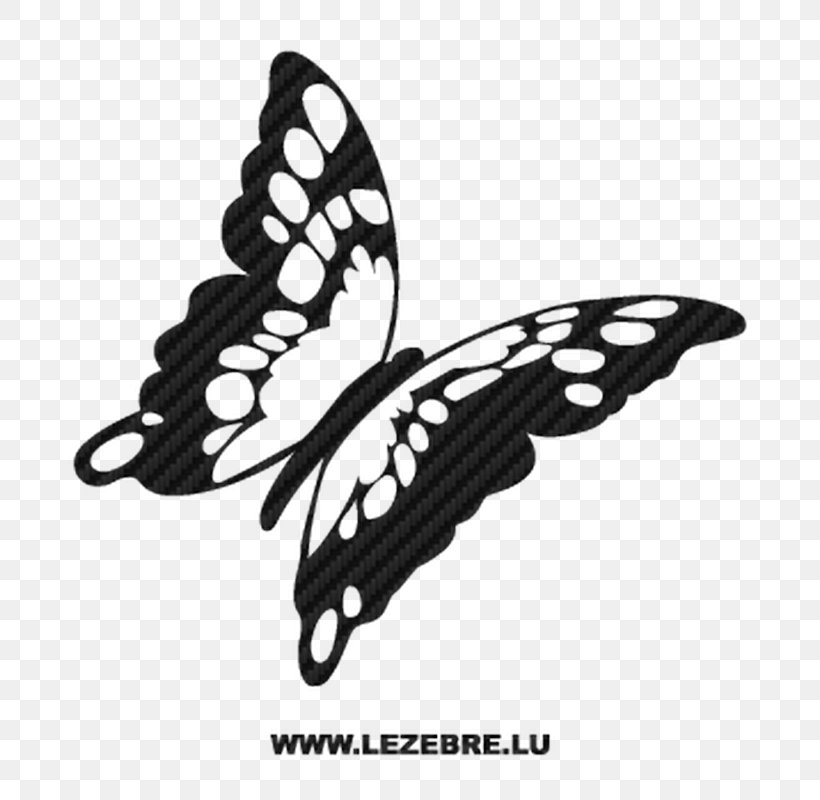 Monarch Butterfly Drawing Coloring Book Line Art, PNG, 800x800px, Butterfly, Black, Black And White, Brushfooted Butterflies, Coloring Book Download Free