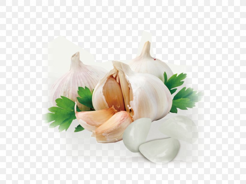 Solo Garlic Clip Art, PNG, 946x708px, Solo Garlic, Cut Flowers, Floral Design, Flower, Flowering Plant Download Free