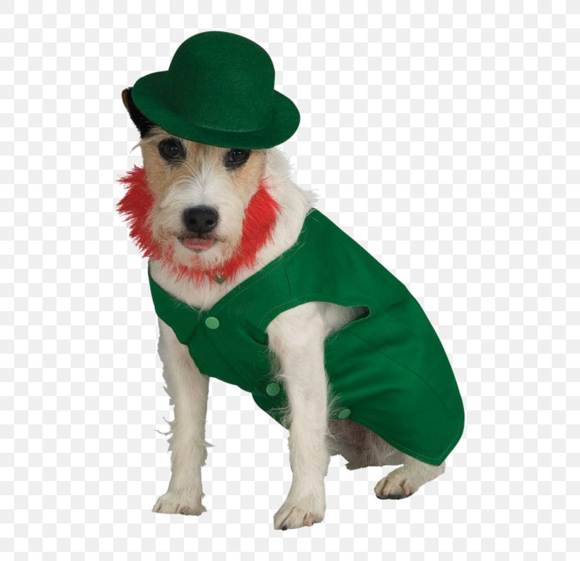 Dog Leprechaun Halloween Costume Saint Patrick's Day, PNG, 500x793px, Dog, Bow Tie, Clothing, Clothing Accessories, Collar Download Free