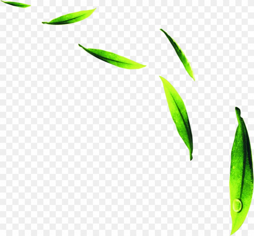 Green Download, PNG, 1412x1309px, Green, Dew, Google Images, Leaf, Plant Download Free