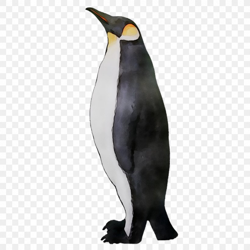 King Penguin Fauna Beak, PNG, 1044x1044px, King Penguin, Beak, Bird, Emperor Penguin, Fauna Download Free