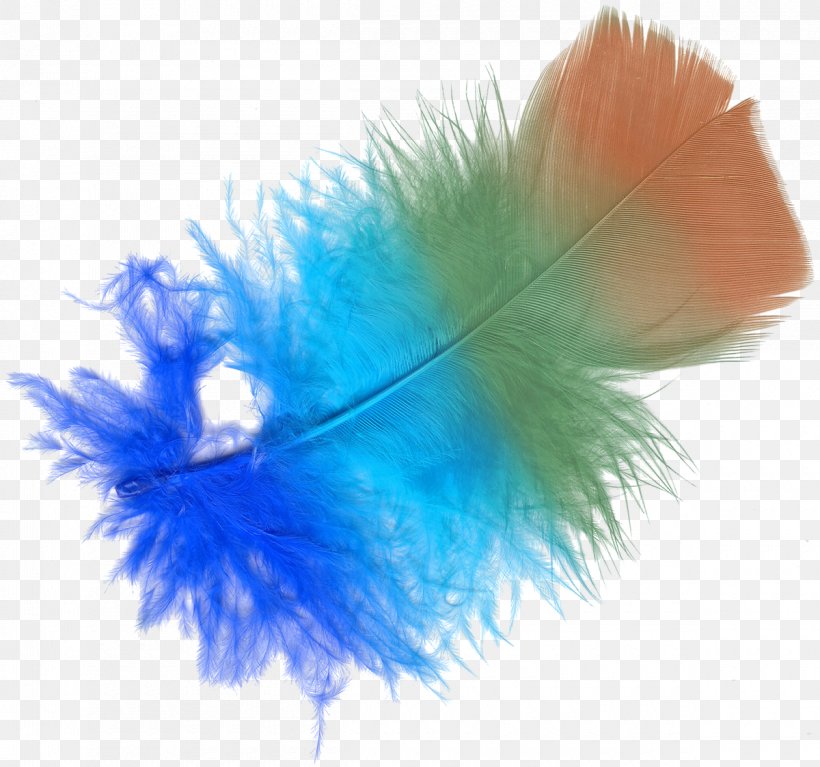 Feather Color Lossless Compression, PNG, 1200x1123px, Feather, Aqua, Blue, Color, Data Compression Download Free