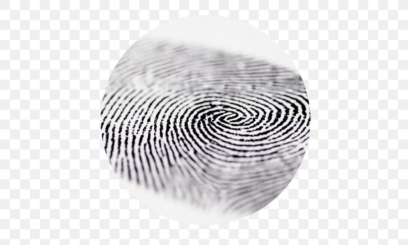 Fingerprint Technology Thumb Stock Photography, PNG, 738x492px, Fingerprint, Biometrics, Black And White, Finger, Hand Download Free