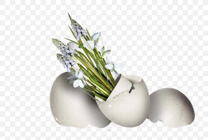 Flower Still Life Photography Vase, PNG, 800x553px, Flower, Alternative Health Services, Flowerpot, Grass, Medicine Download Free