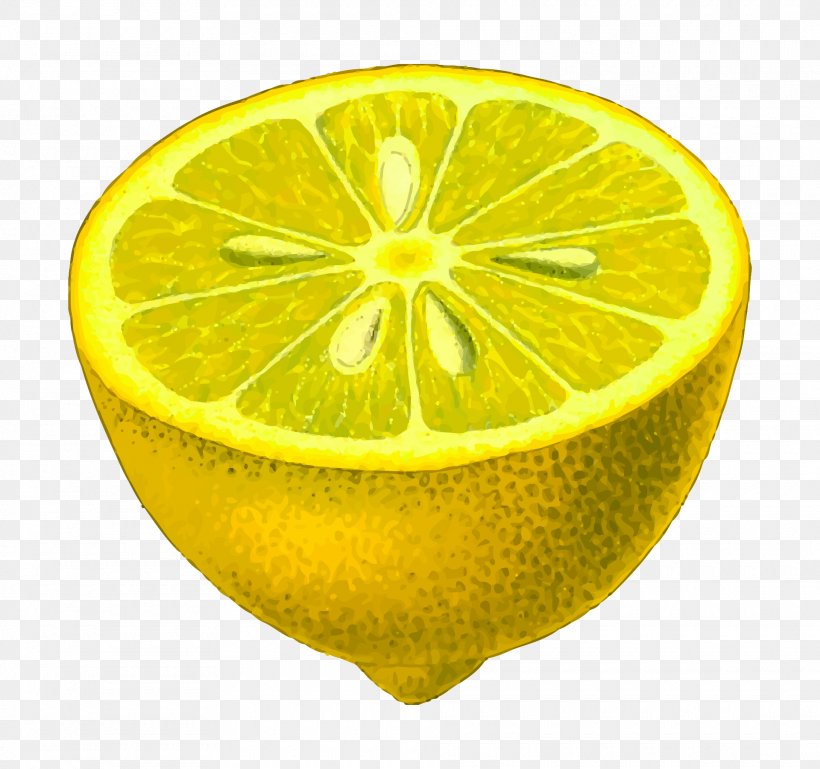 Lemon Clip Art, PNG, 1920x1801px, Lemon, Bitter Orange, Citric Acid, Citron, Citrus Download Free