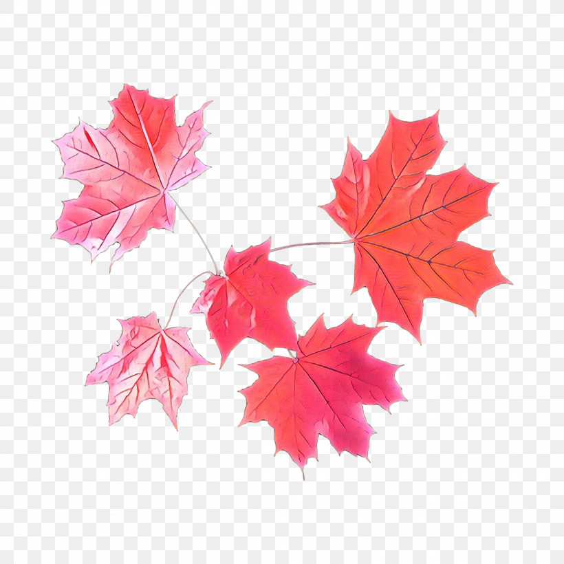 Maple Leaf, PNG, 2289x2289px, Leaf, Black Maple, Flower, Maple, Maple Leaf Download Free