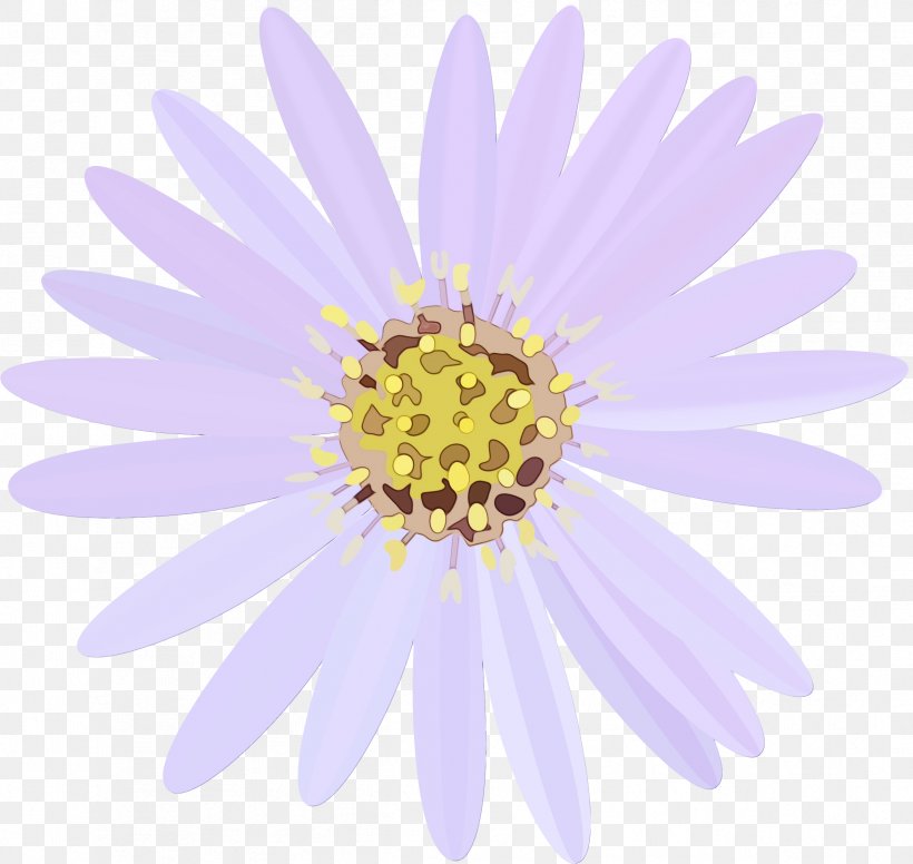 Watercolor Pink Flowers, PNG, 2392x2264px, Watercolor, African Daisy, Annual Plant, Aster, Asterales Download Free