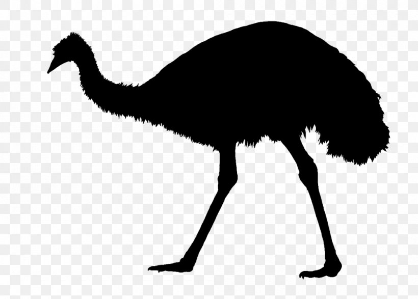 Common Ostrich Emu War Silhouette, PNG, 1000x716px, Common Ostrich, Animal Silhouettes, Beak, Bird, Black And White Download Free