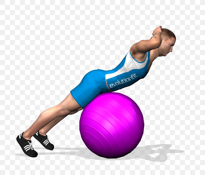 Exercise Balls Pilates Hyperextension Medicine Balls, PNG, 700x700px, Watercolor, Cartoon, Flower, Frame, Heart Download Free