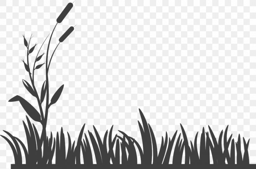 Lawn Mowers Clip Art, PNG, 960x634px, Lawn, Black, Black And White, Branch, Commodity Download Free