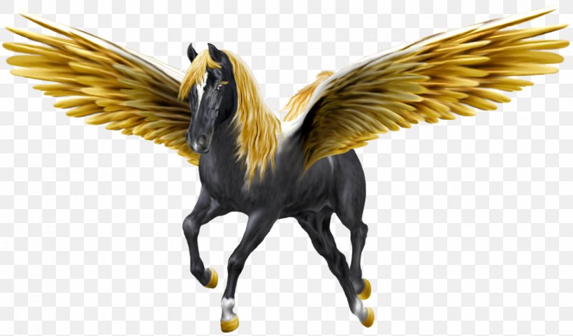 Pegasus Desktop Wallpaper Horse Unicorn, PNG, 1300x765px, Pegasus, Beak, Bird, Copyright, Elftown Download Free