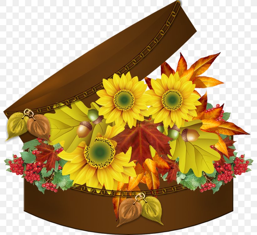 Animation Flower Ansichtkaart, PNG, 800x749px, Animation, Admiration, Ansichtkaart, Autumn, Chrysanths Download Free